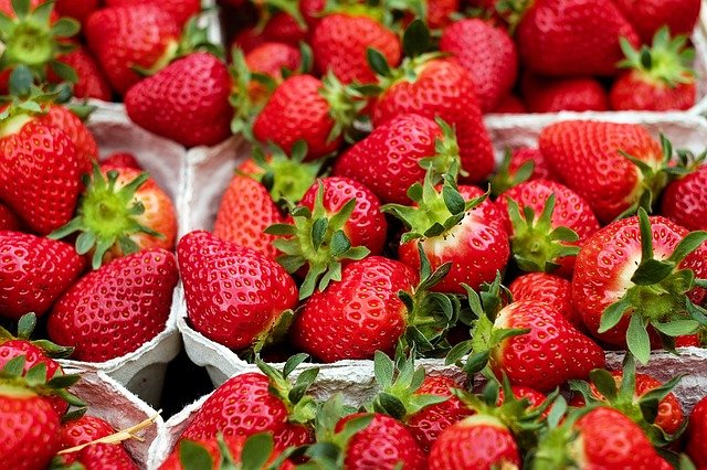 Erdbeeren in Pappschalen